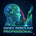 Index Rebound Professional Logo
